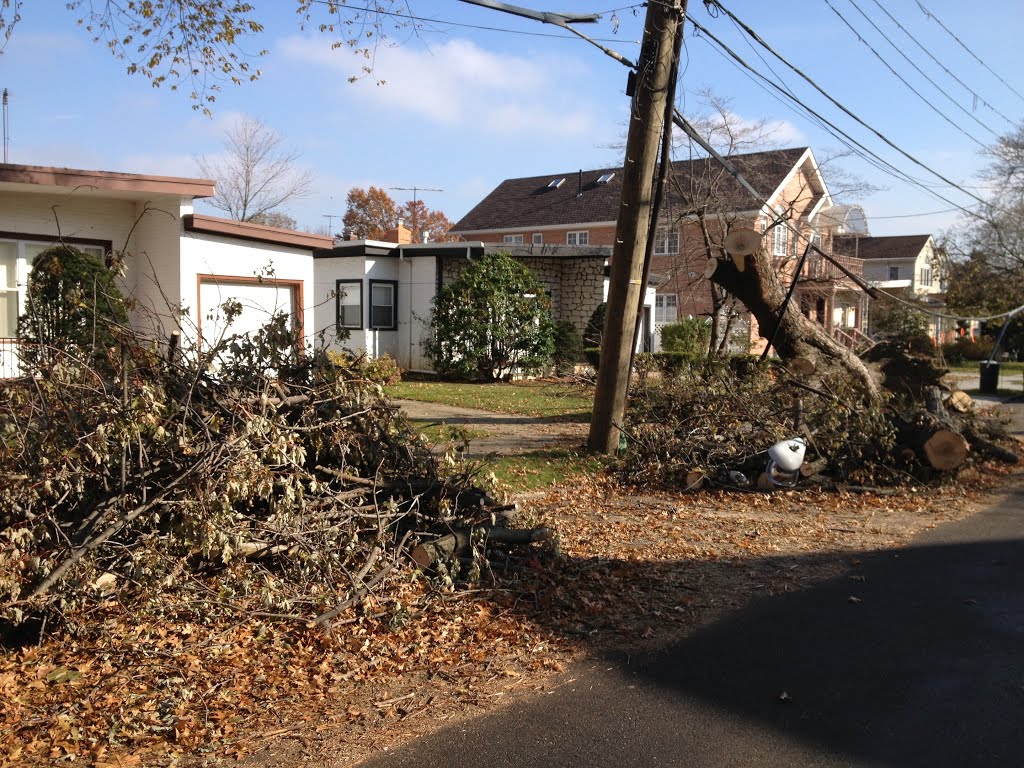 Distoyed lamp and trees in Flushing during Sandy's attack by Chick Lam