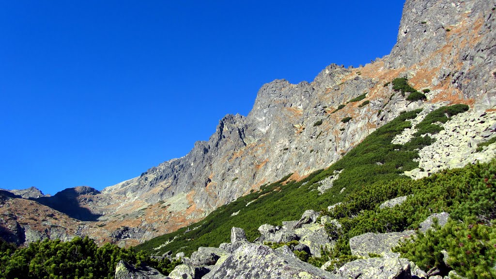 Velická dolina,pohľad na Granátovú stenu s jej vežami by Majo 65