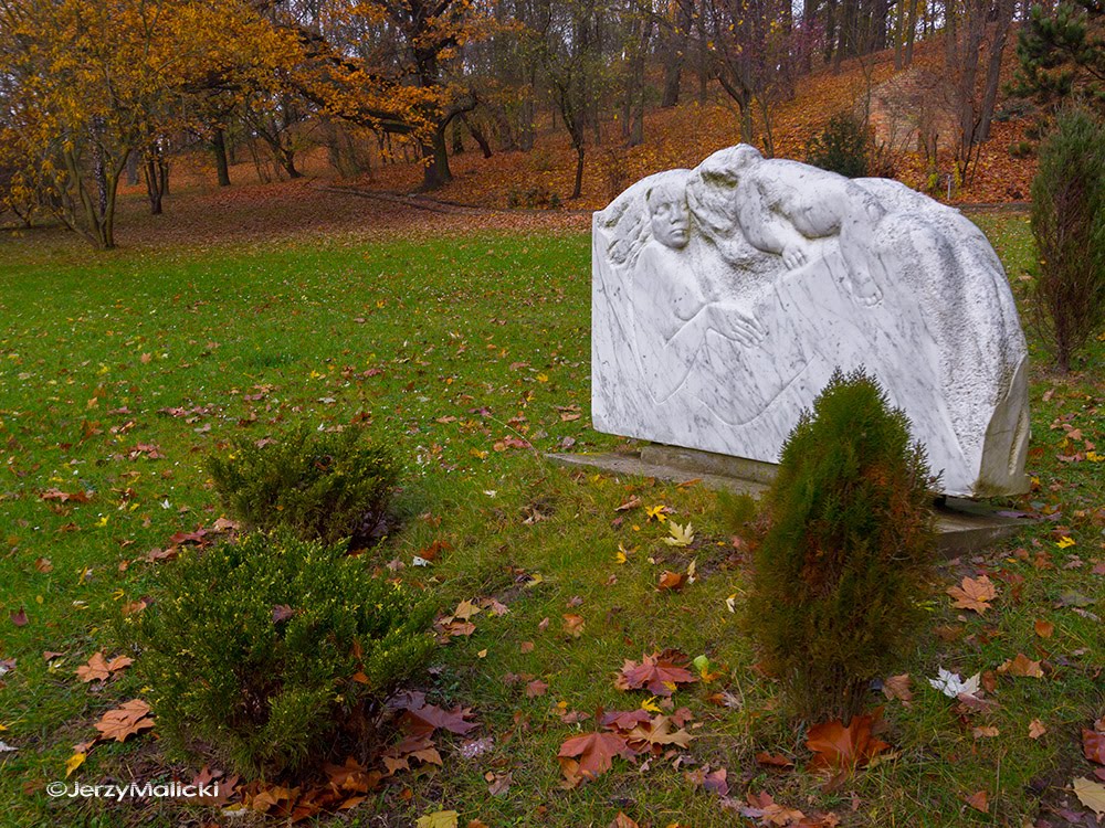 Muzeum im. Jana Dekerta by Jerzy Malicki