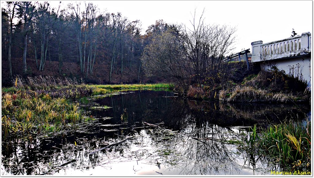 Small Lake (Fall Nov. 2012) by Marcus Aksan