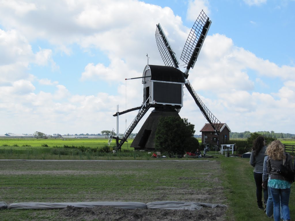 Hogewegse molen by vegte.wl