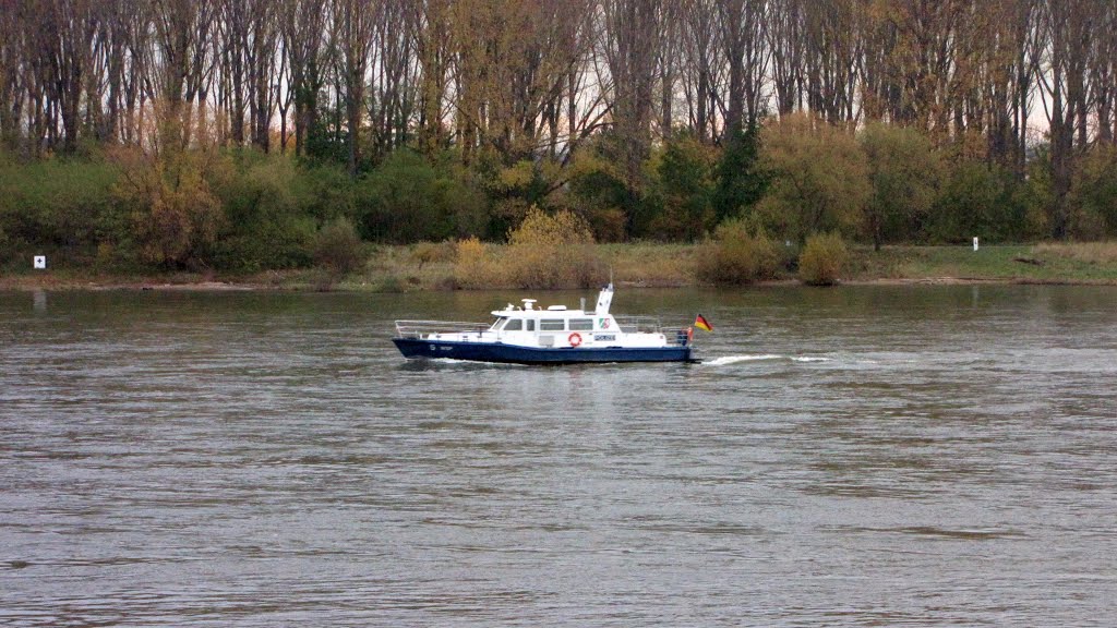 Polizeiboot auf Rhein (vor dem Herseler Werth) by Iris & Harry