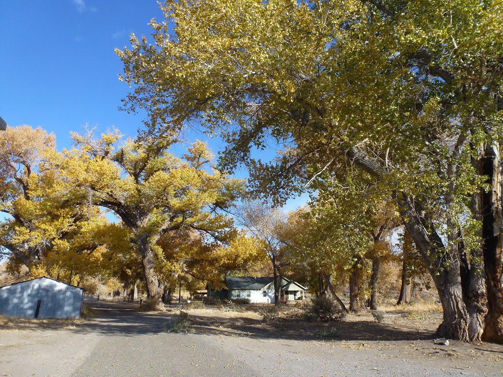 A Carson River Ranch Home, 2012 by tceng