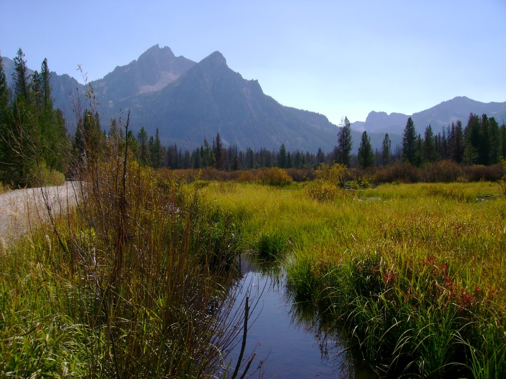 Near Stanley Lake, Early Fall by scipio_79