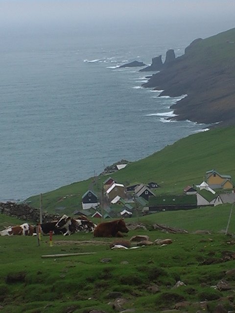 Mykines - looking down to settlement by JennyF