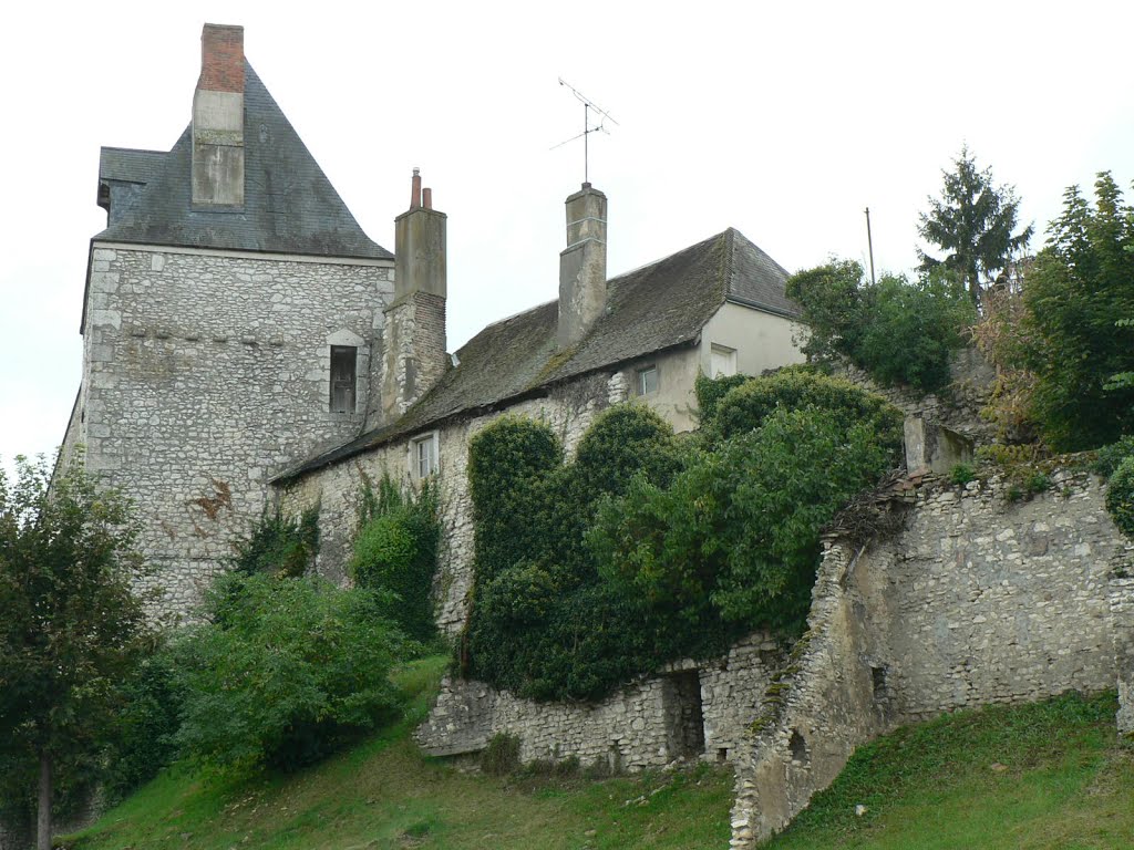 Montargis. Le Château by gérard lebec