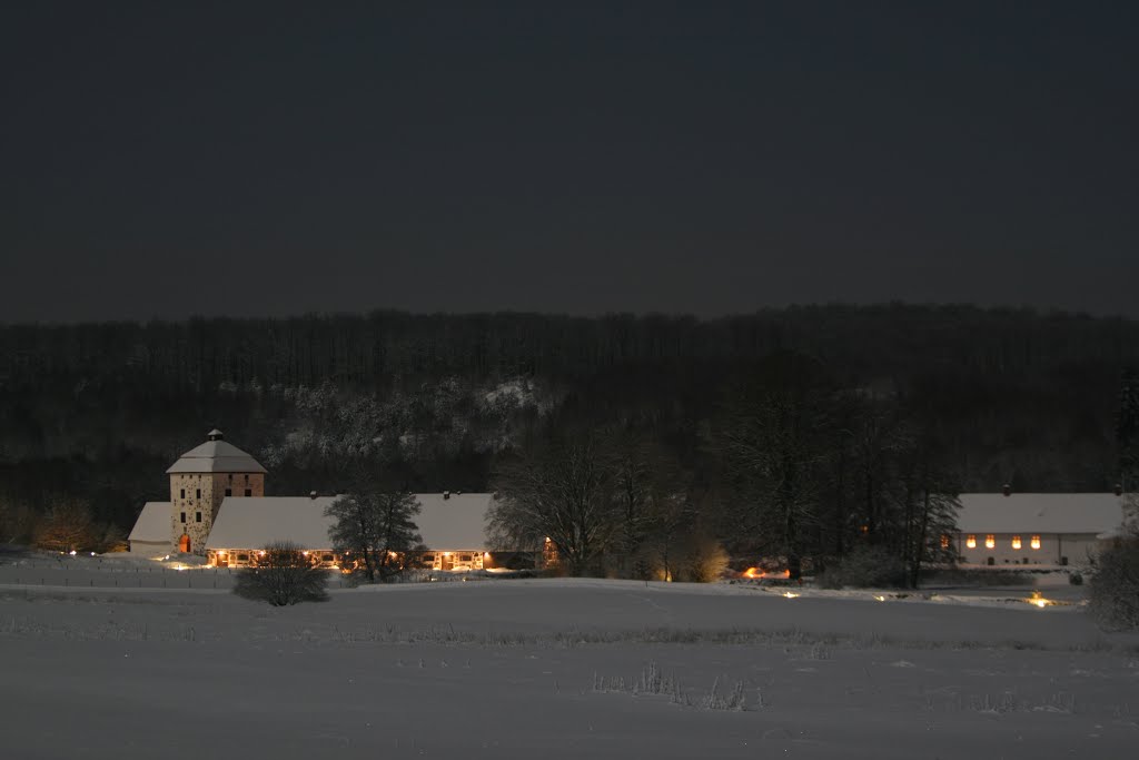 Hovdala Slott, Hässleholm, 2010 by Lennart Björkquist