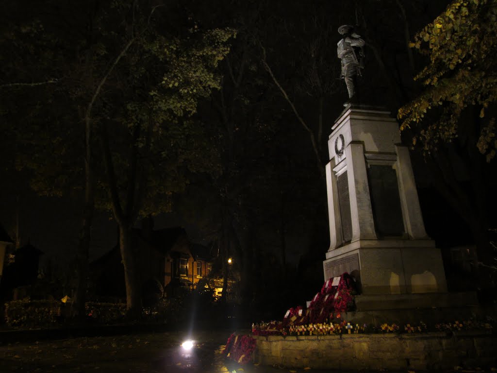 Darlaston War Memorial at Night by Mr_nhw