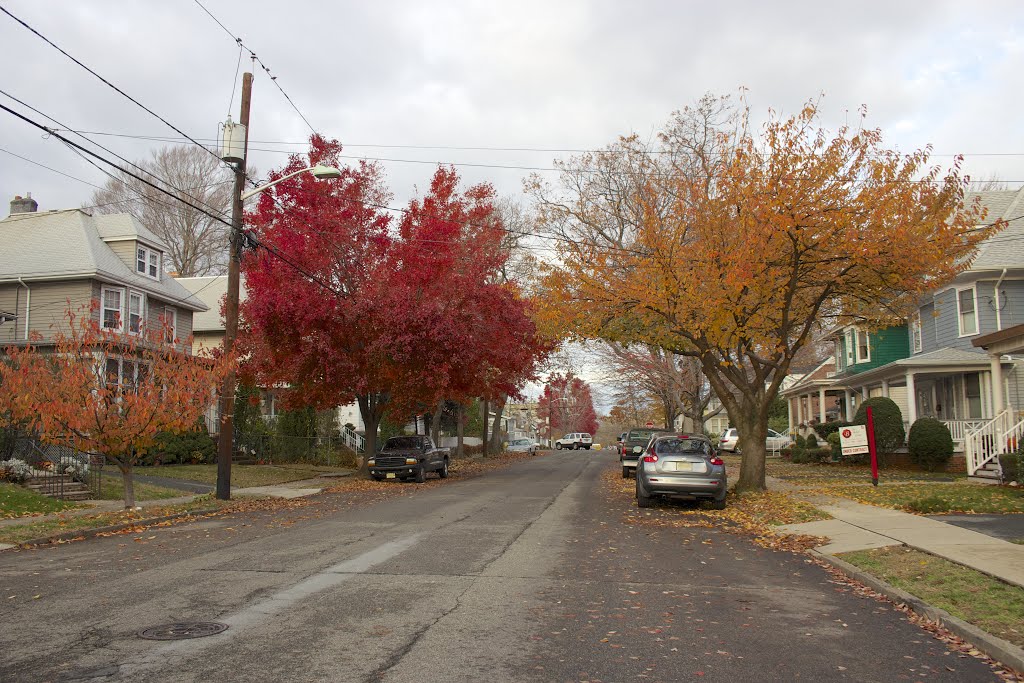 Kearny Fall Foliage by Adam Elmquist