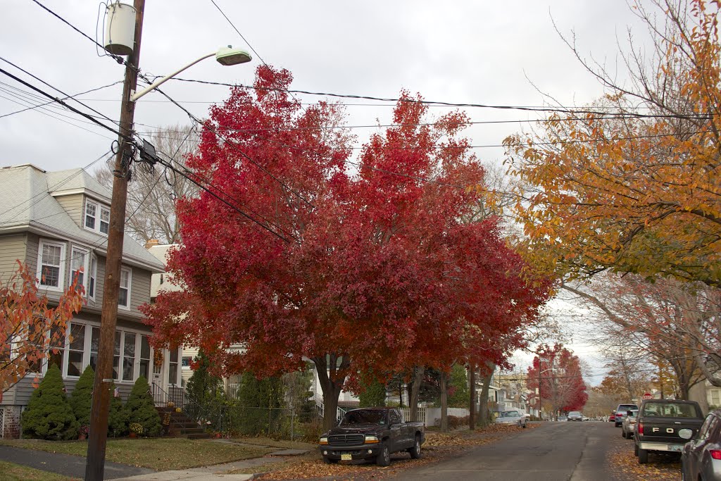 Kearny Fall Foliage by Adam Elmquist