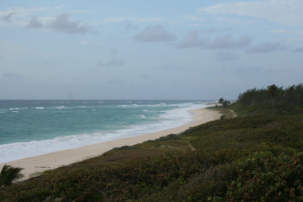 Long Beach St Philip by Michael Morris