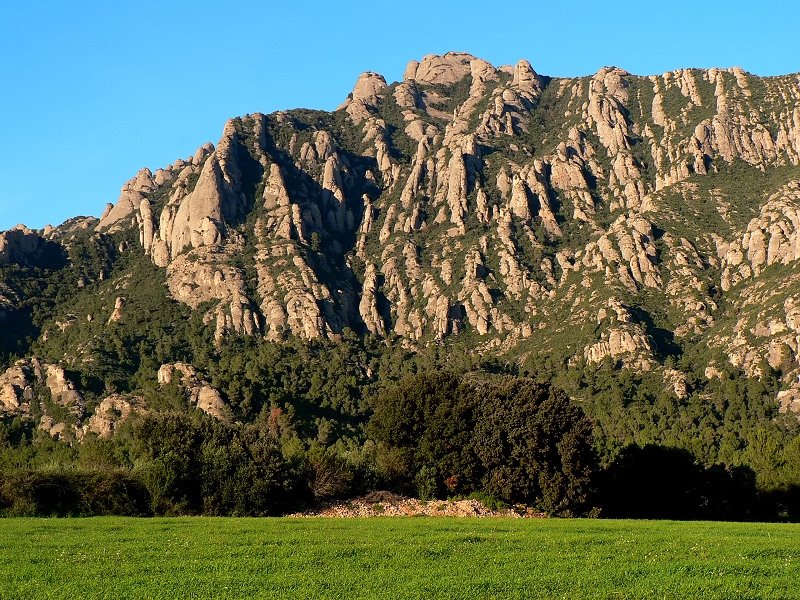 Verdor de secà by meteocoll