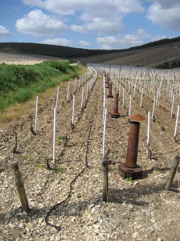 L'art de réchauffer les vignes by gabolde