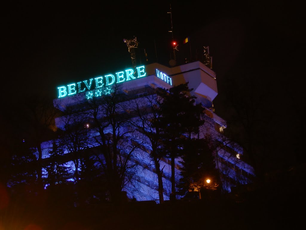 Belvedere by Night by radu bulubasa