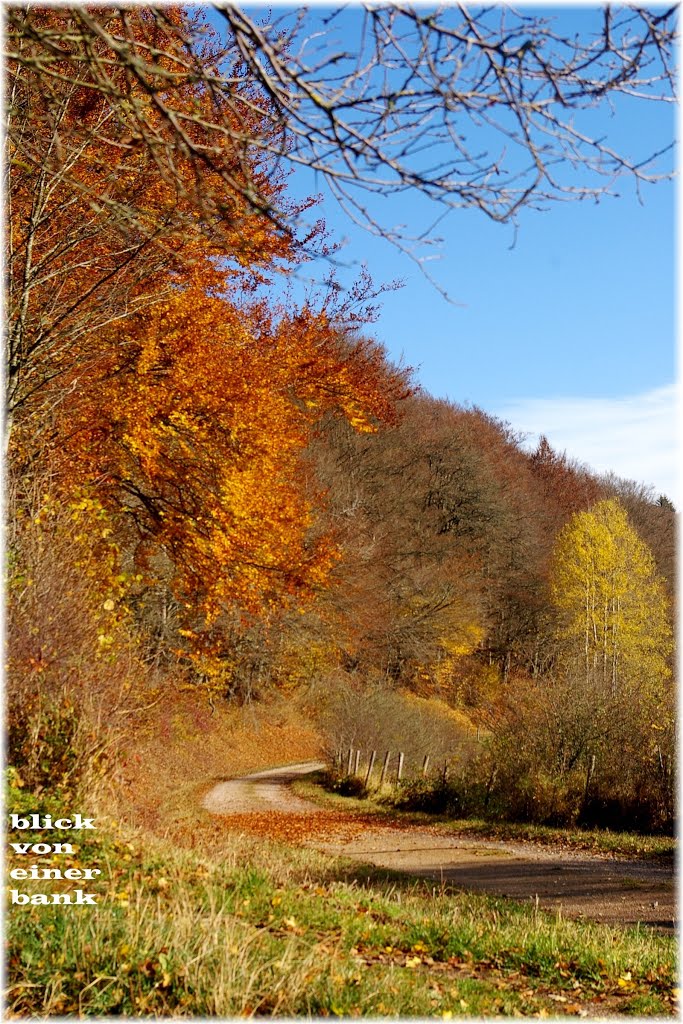 Blick von einer bank by misi.cologne