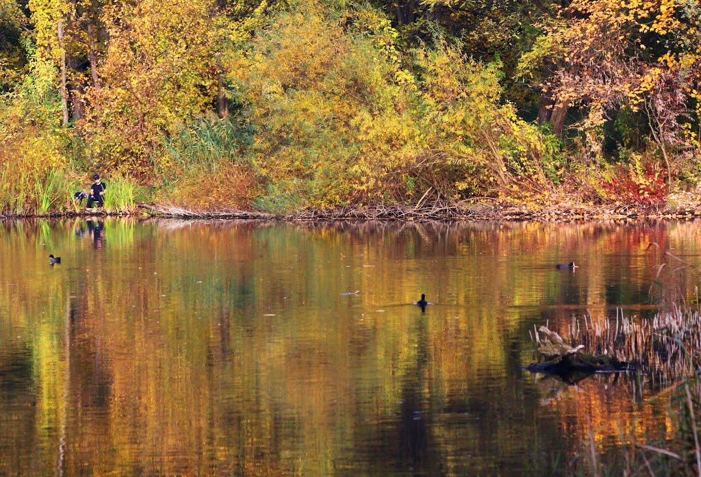 Herbst in Berlin. Malchower See. 201210 by Heidiho