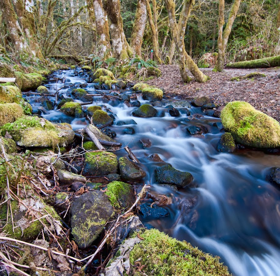 Blue Stream by JamesWheeler