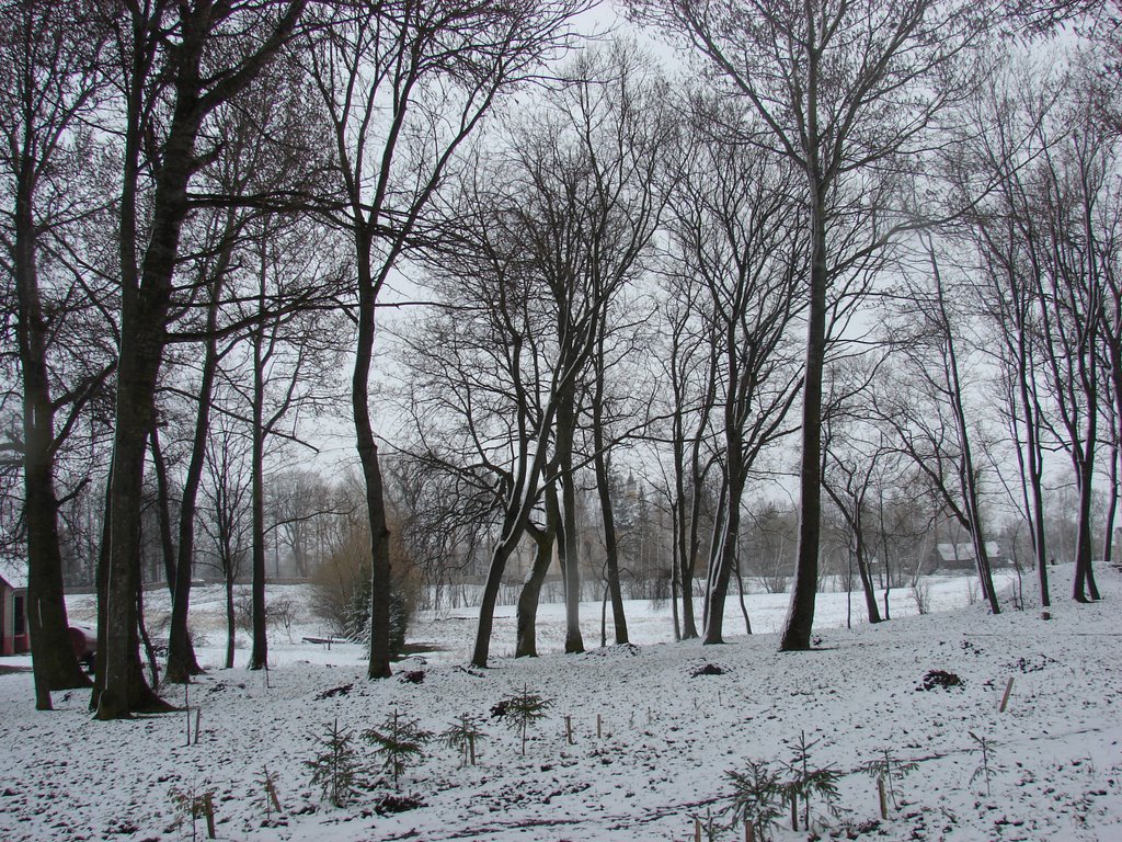 Švobiškis by stasysvelykis