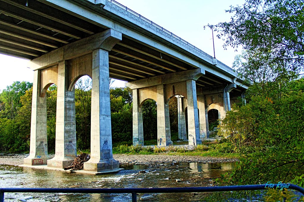 HUMBER RIVER BRIDGE , Dundas St. by Fito Rojas