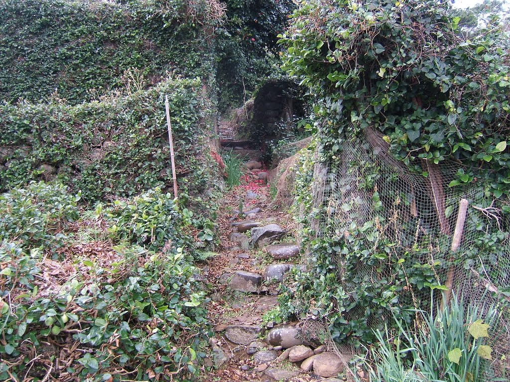 The path near Fukumi church（福見教会近くの小道） by antineco