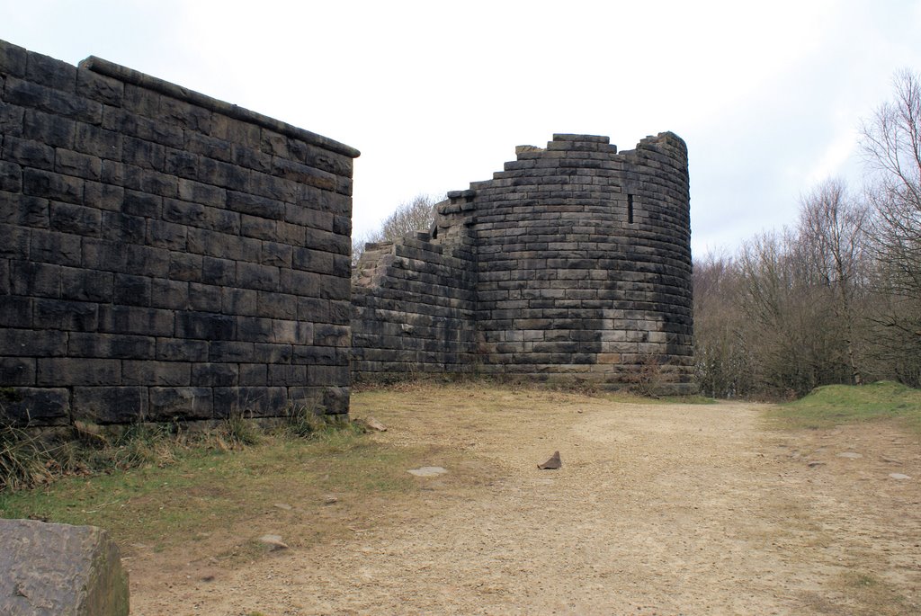 LIVERPOOL CASTLE by peter.smith 1059