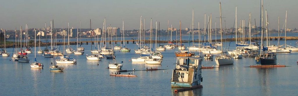 *Puerto del Buceo by pablobonomi