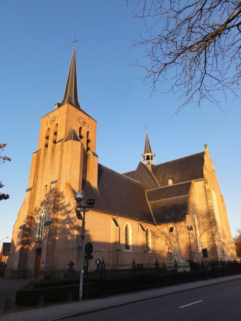 Sint-Salvatorkerk Meerle by Pascal Van Acker