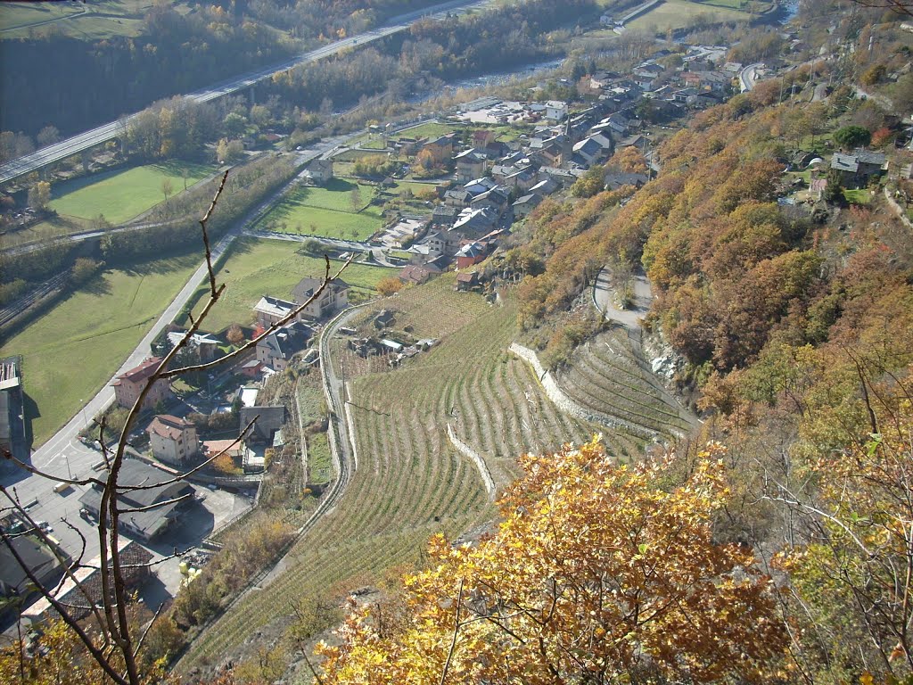 Le vigne di Chambave by TITO e TITO