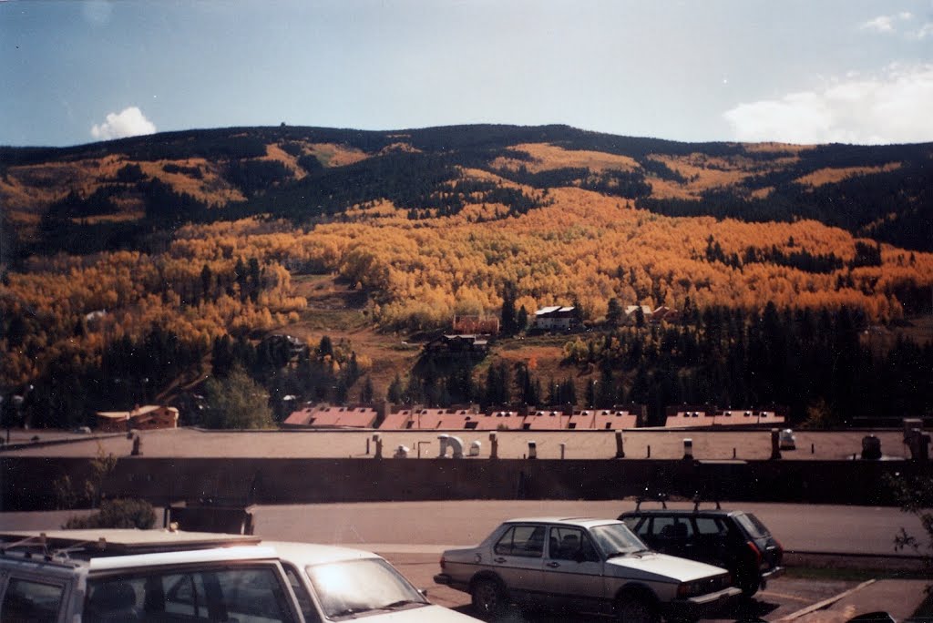 West Vail Fall Colors (1991) by img_0001