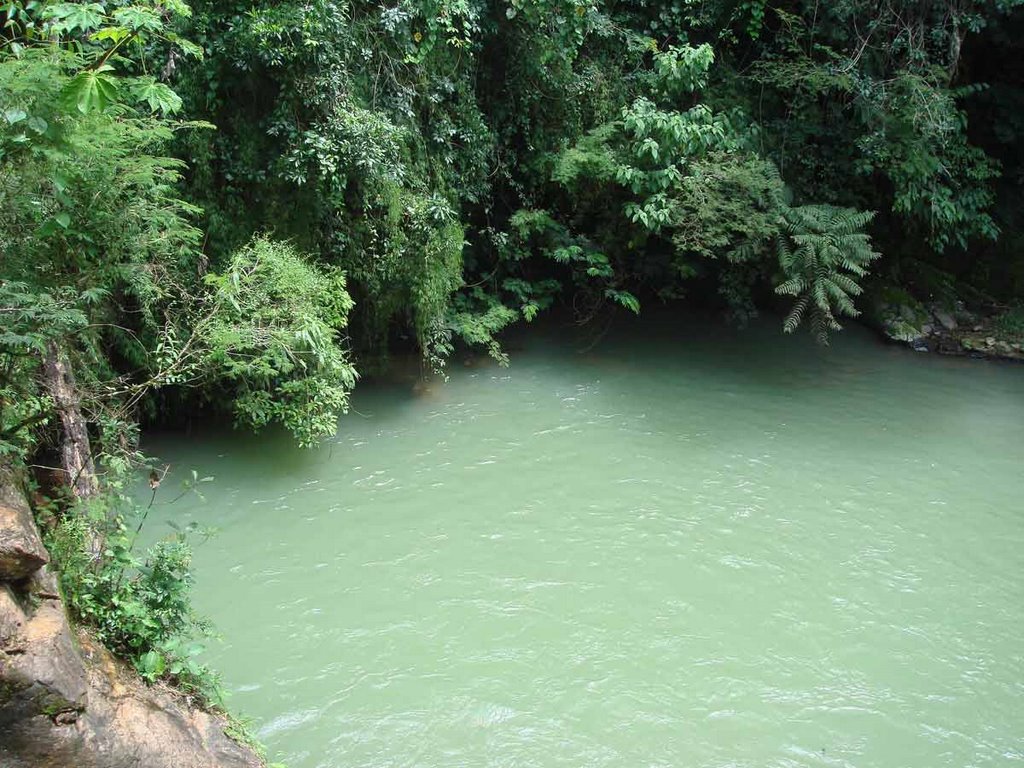 Piscina da cachoeira cercada de árvores. by Guilherme Coelho