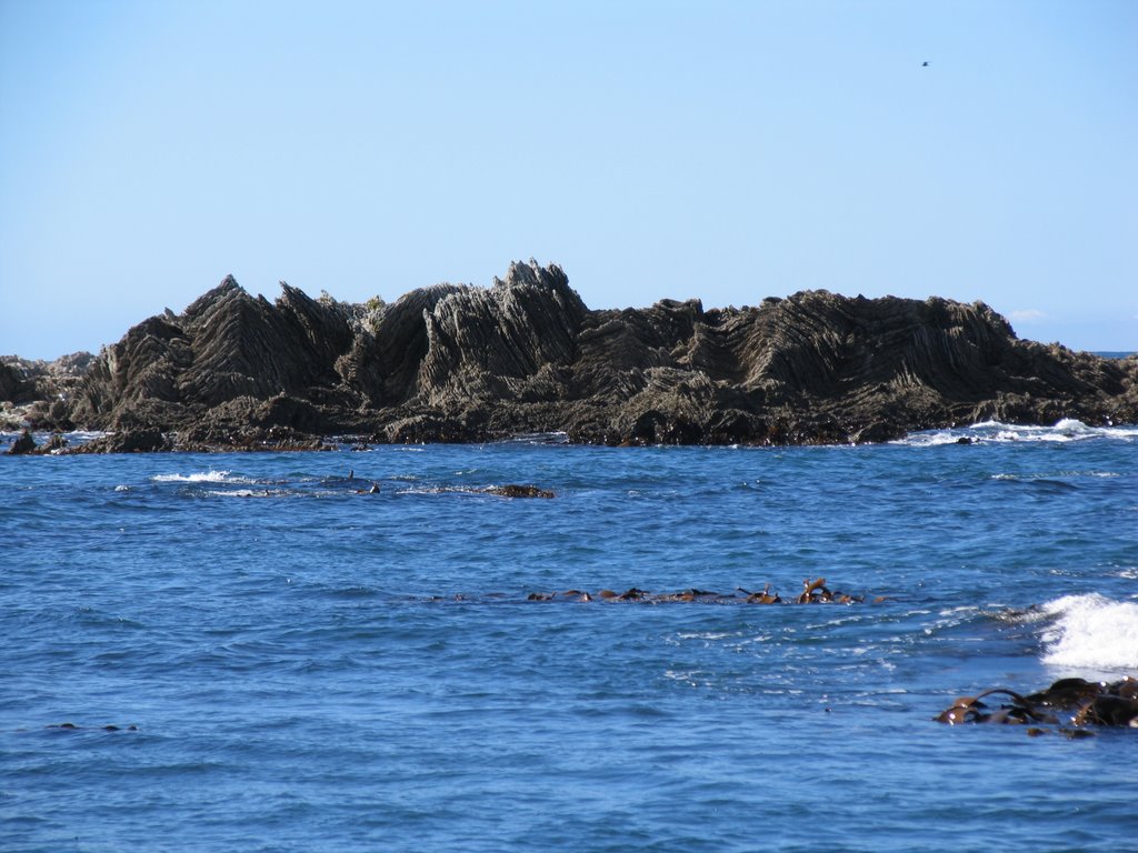 Kaikoura by Mehmet Celik