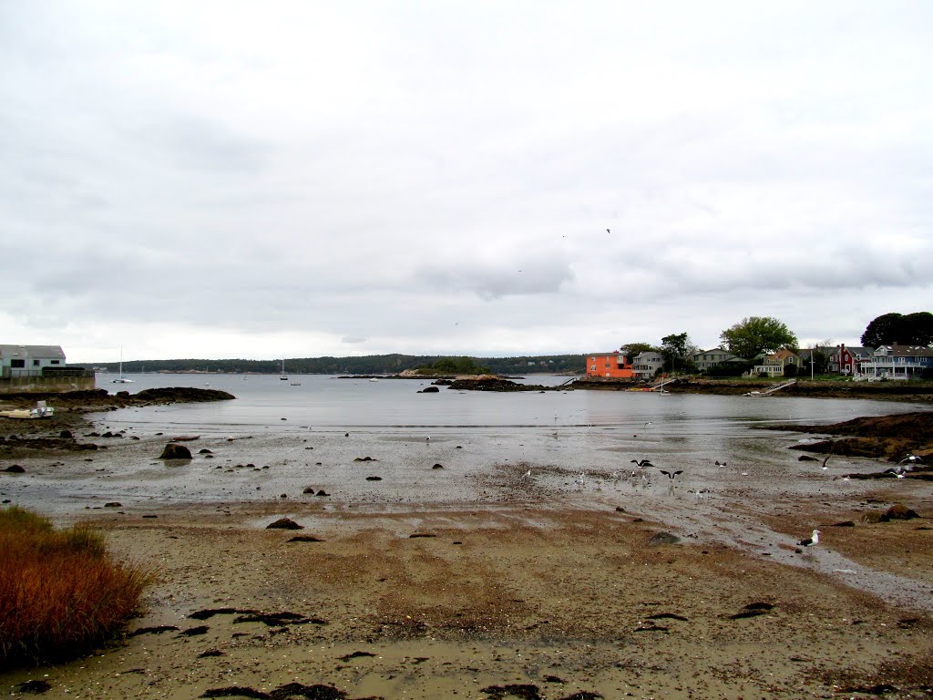 Rocky Neck Park. by MementoMori