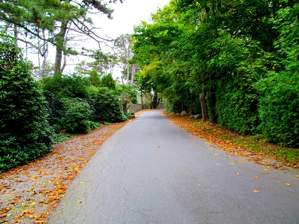 Eastern Point Blvd. by MementoMori