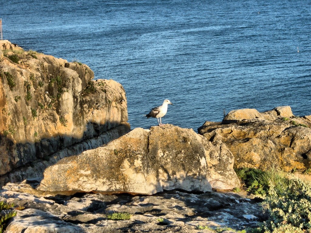 Naturaleza by Juan Jo. Andújar