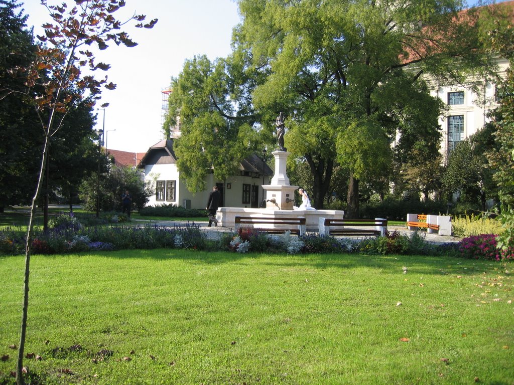 Békéscsaba, Hungary by László Márton Valyuc…