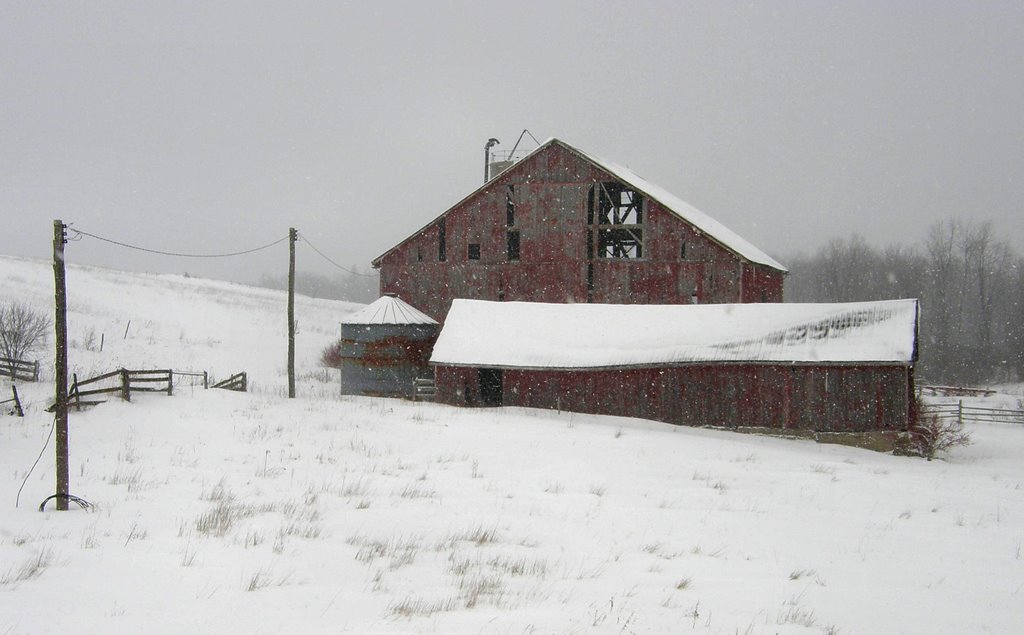 The old farm: powerless by Marilyn Whiteley