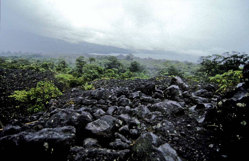 Volcano Arenal oldLavafield inRainforest DuringRain Okt.2002 by Alexander Holweg