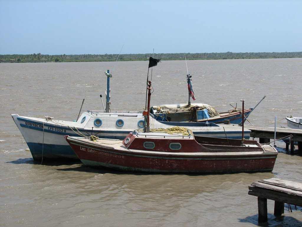 Río Magdalena - Barranquilla - Las Flores by Ed.Me.Mo.