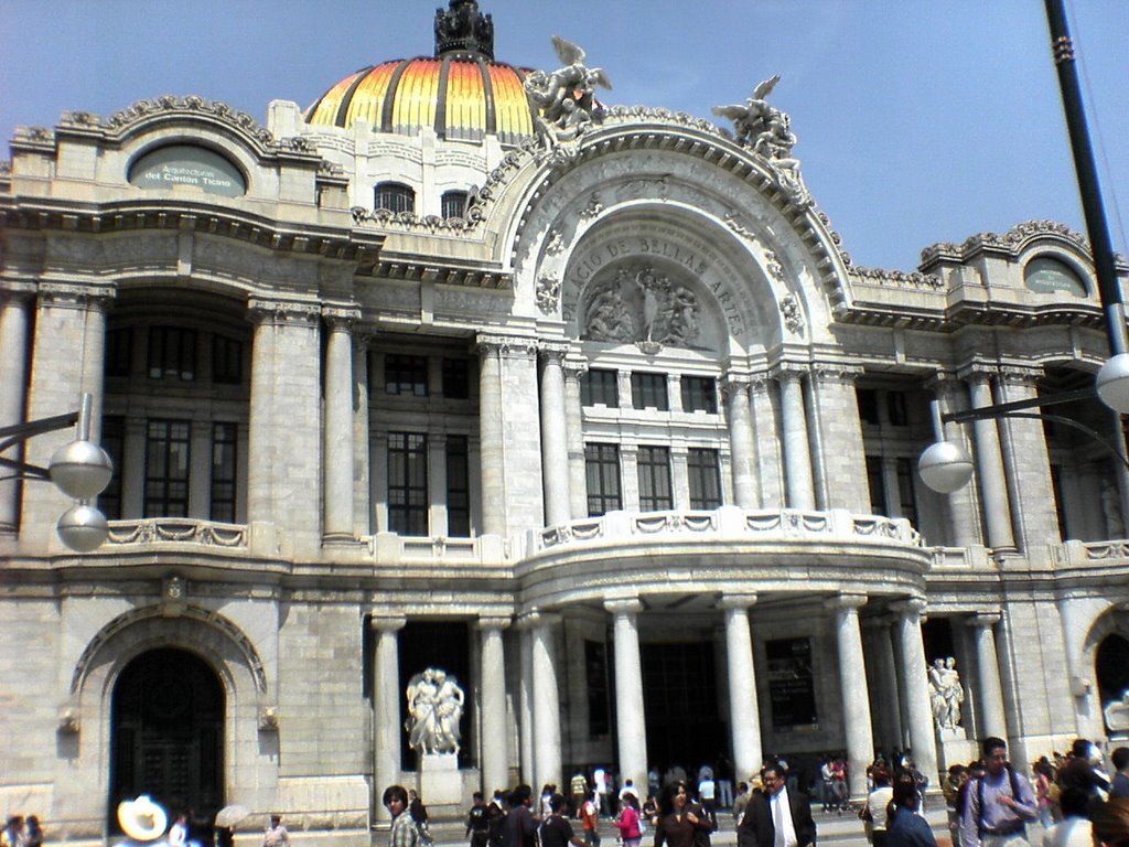 Fachada del Majestuoso Palacio de Bellas Artes by Wiper México