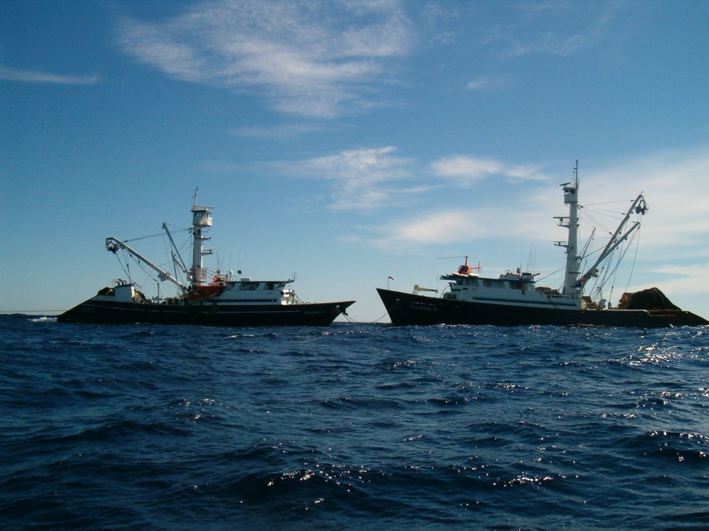 Mazatlán - Islas Marías, Mazatlán, Sin., Mexico by Martin Osuna