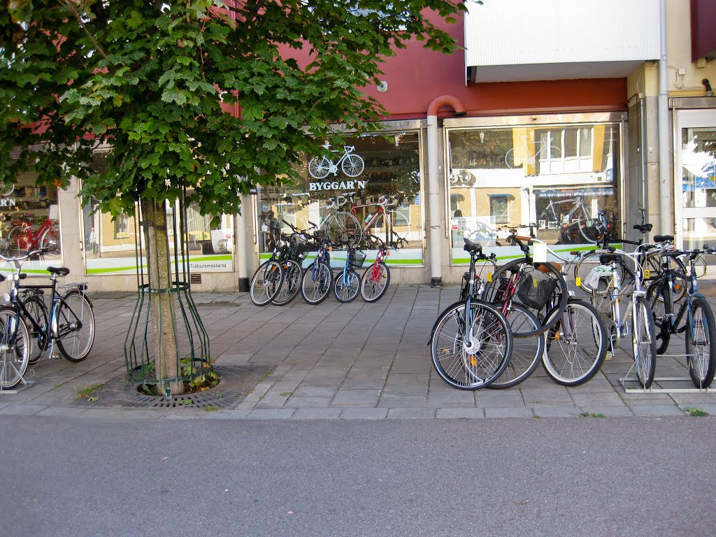 Bicycle parking, Sandviken, Sweden / Велопаркинг, Сандвикен, Швеция by Tikhon Butin