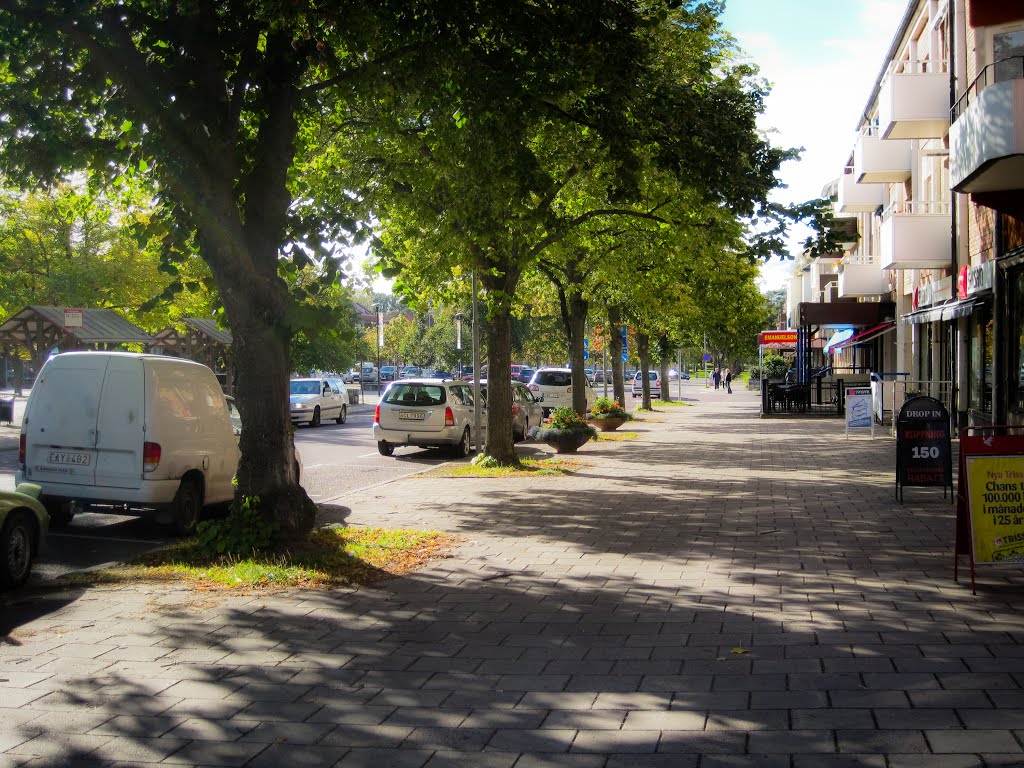 Sandviken, Sweden / Сандвикен, Швеция by Tikhon Butin