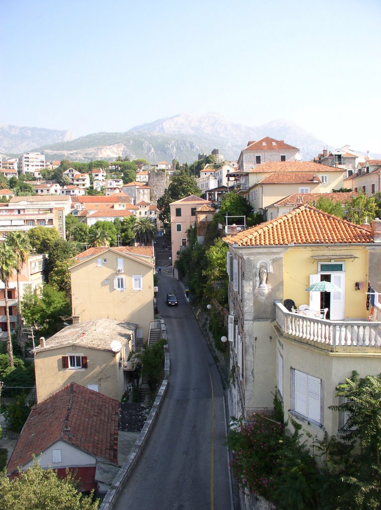 Herceg Novi Street by © Douglas MacGregor