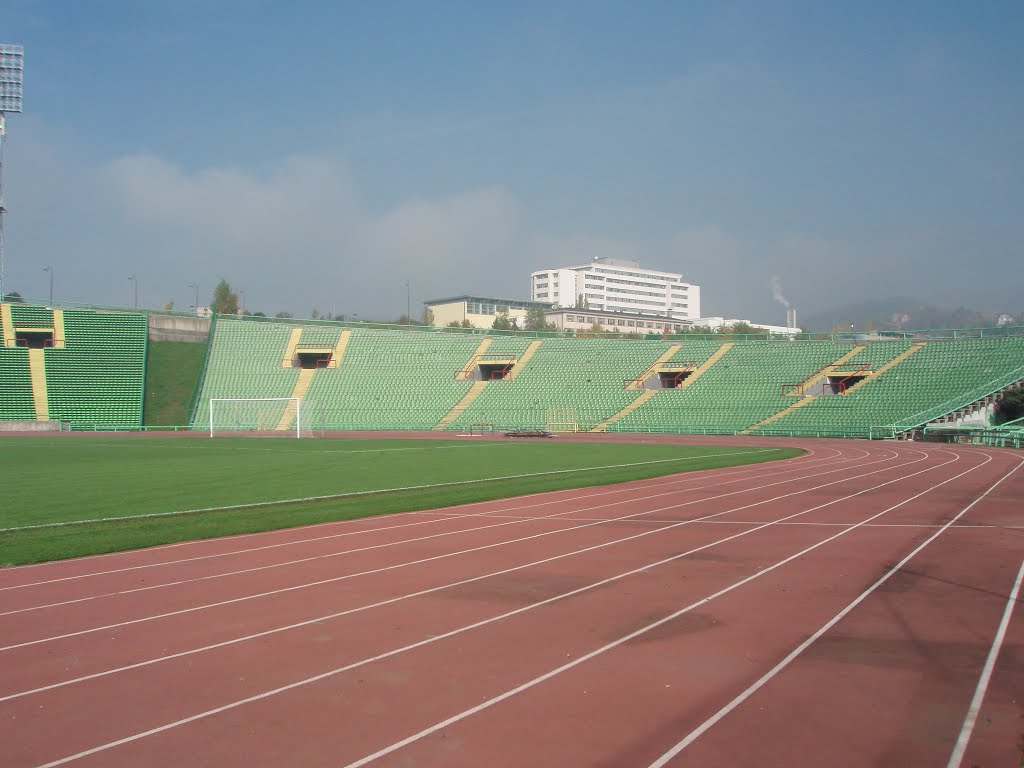 Stadion Koševo by z.l