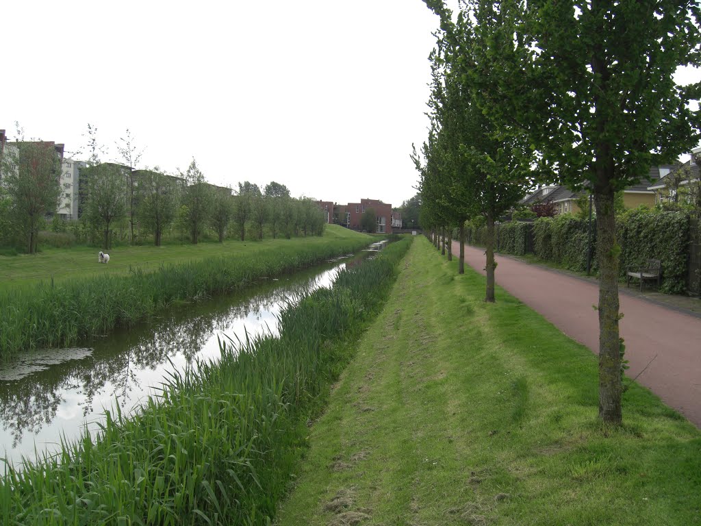 Bicycle path behind the Hugo de Vrieslaan, Oegstgeest, the Netherlands by Hans33