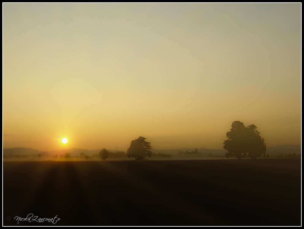 Alba biron di sotto by Nicola Zanconato