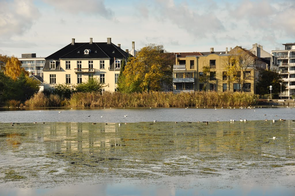 Sankt Jørgens Sø, Copenhagen by Bartolomeo Gorgoglione