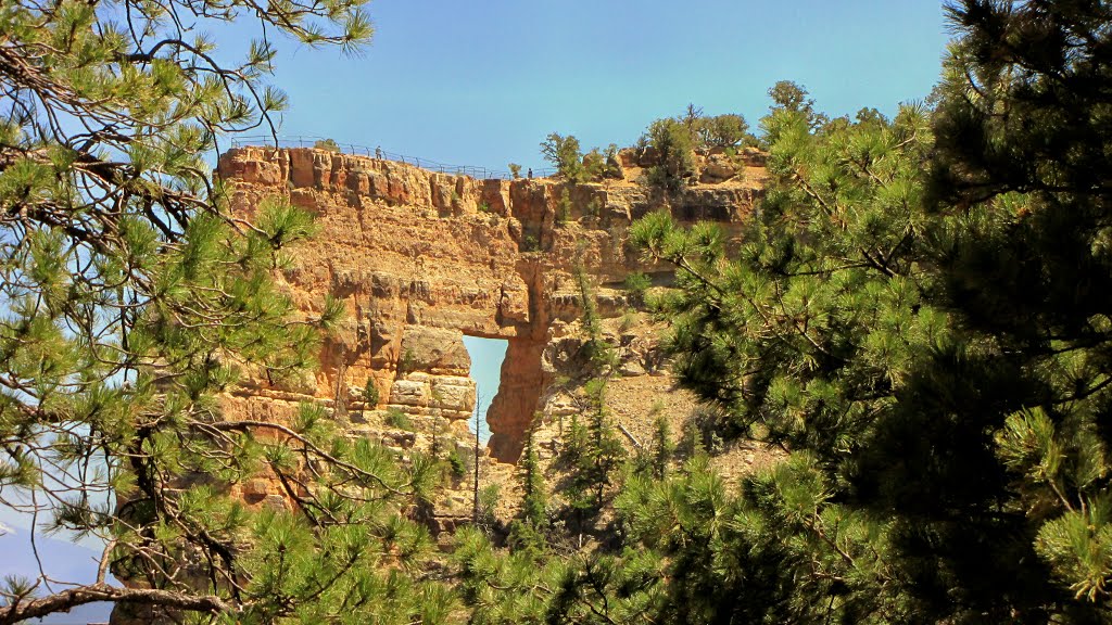 GRAND CANYON NATIONAL PARK, NORTH RIM, ARIZONA by Luc Trudel