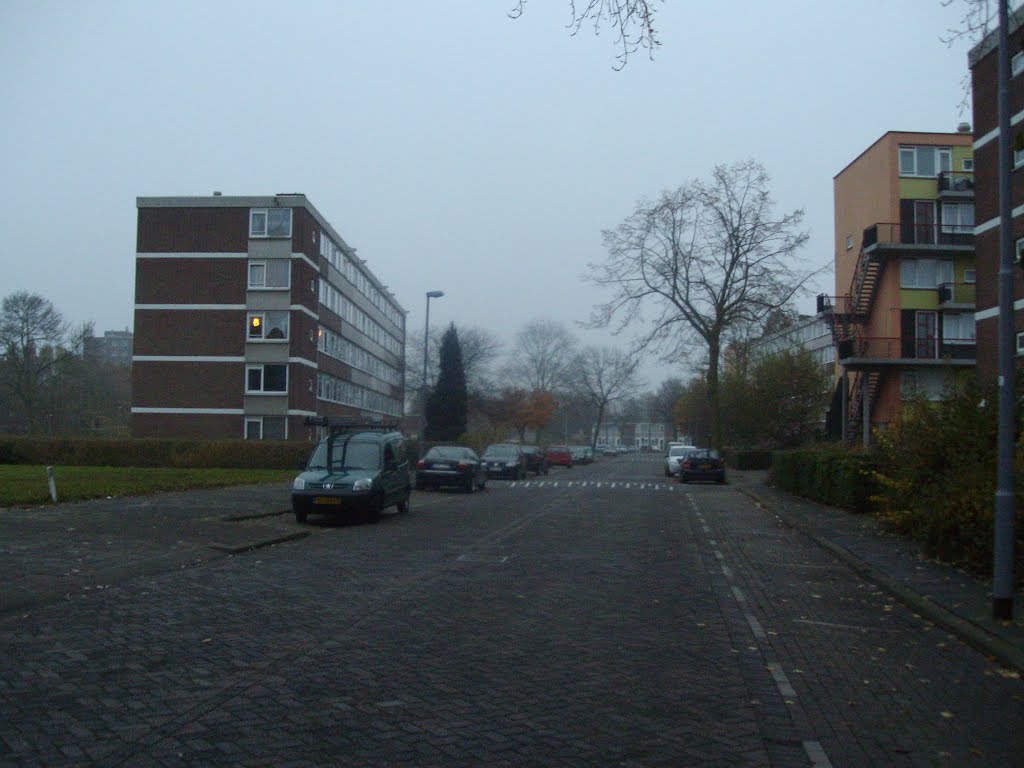 Rondje hoogvliet centrum 17 11 2012 by peter rotterdam