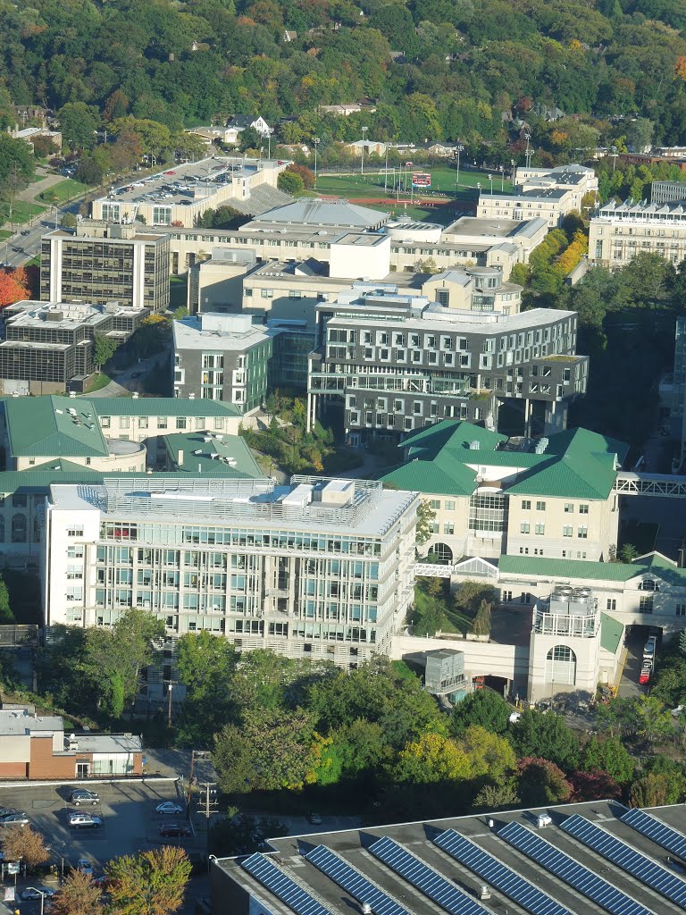 Carnegie Mellon University by plumgarden